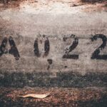 The Mystery of Kz43x9nnjm65: What It Means and Why It Matters